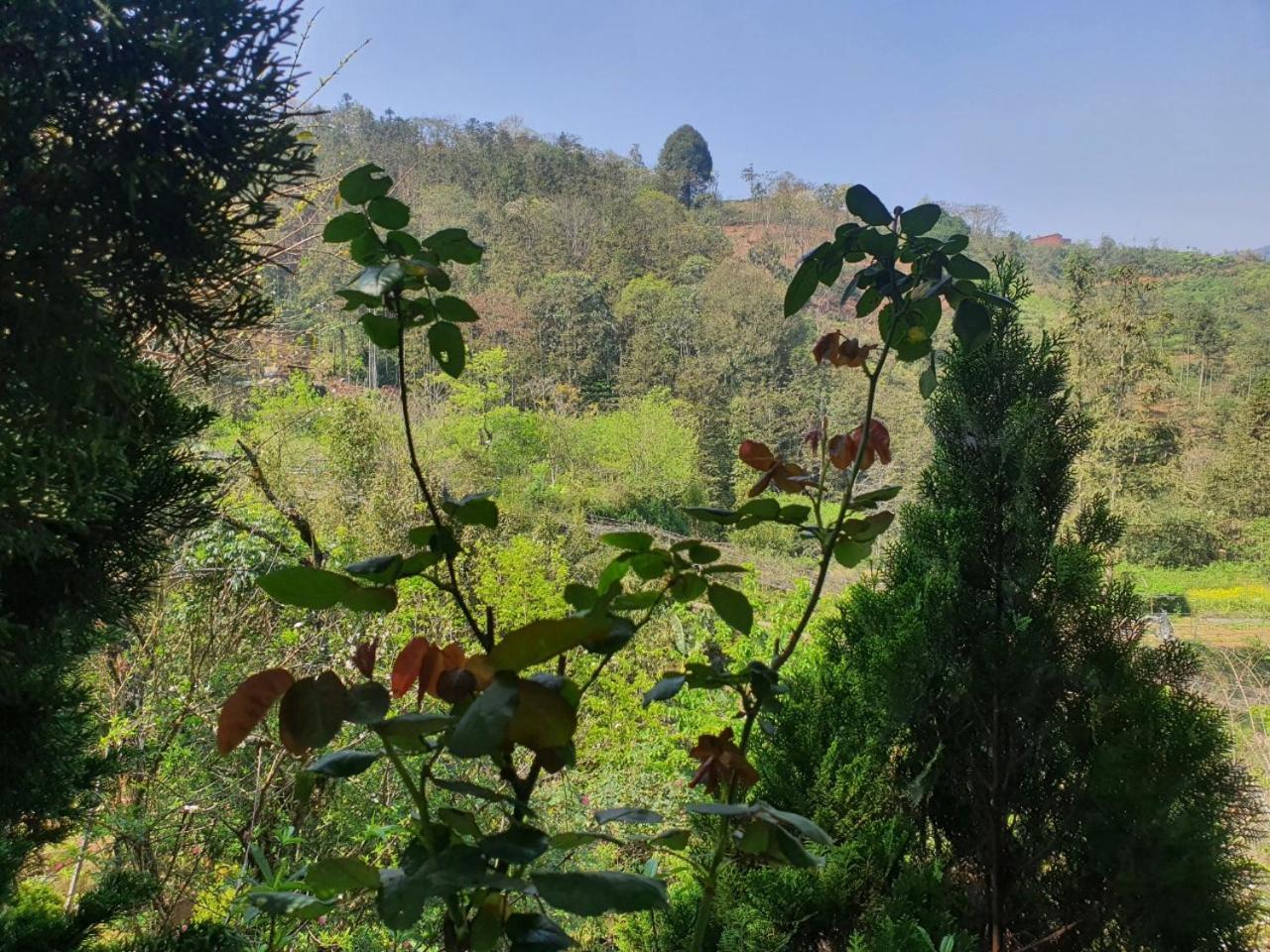 Sapa Garden Bungalow Bagian luar foto