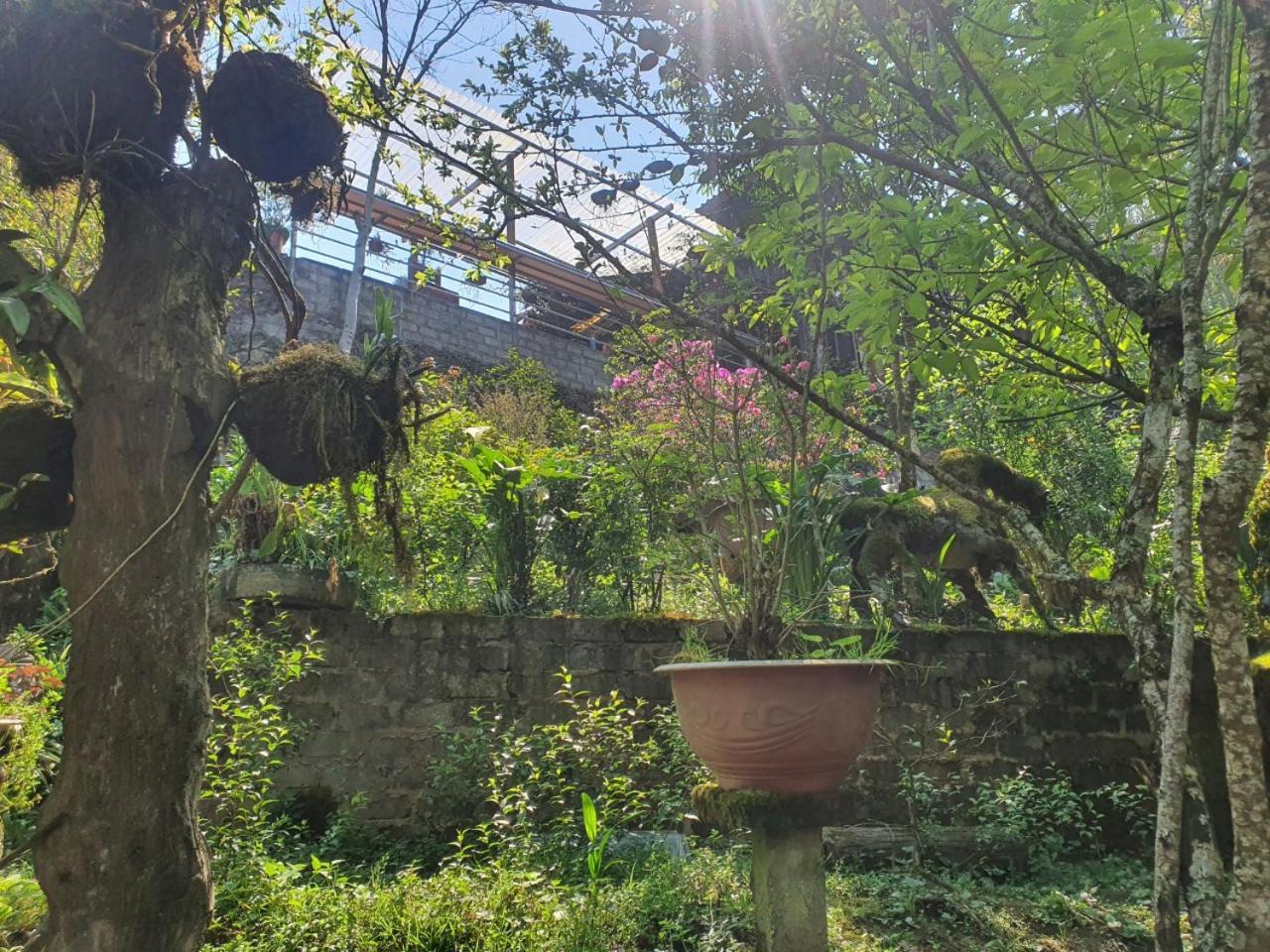 Sapa Garden Bungalow Bagian luar foto