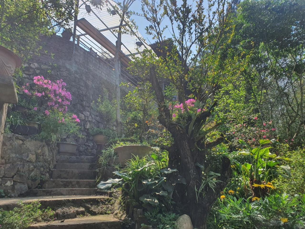 Sapa Garden Bungalow Bagian luar foto